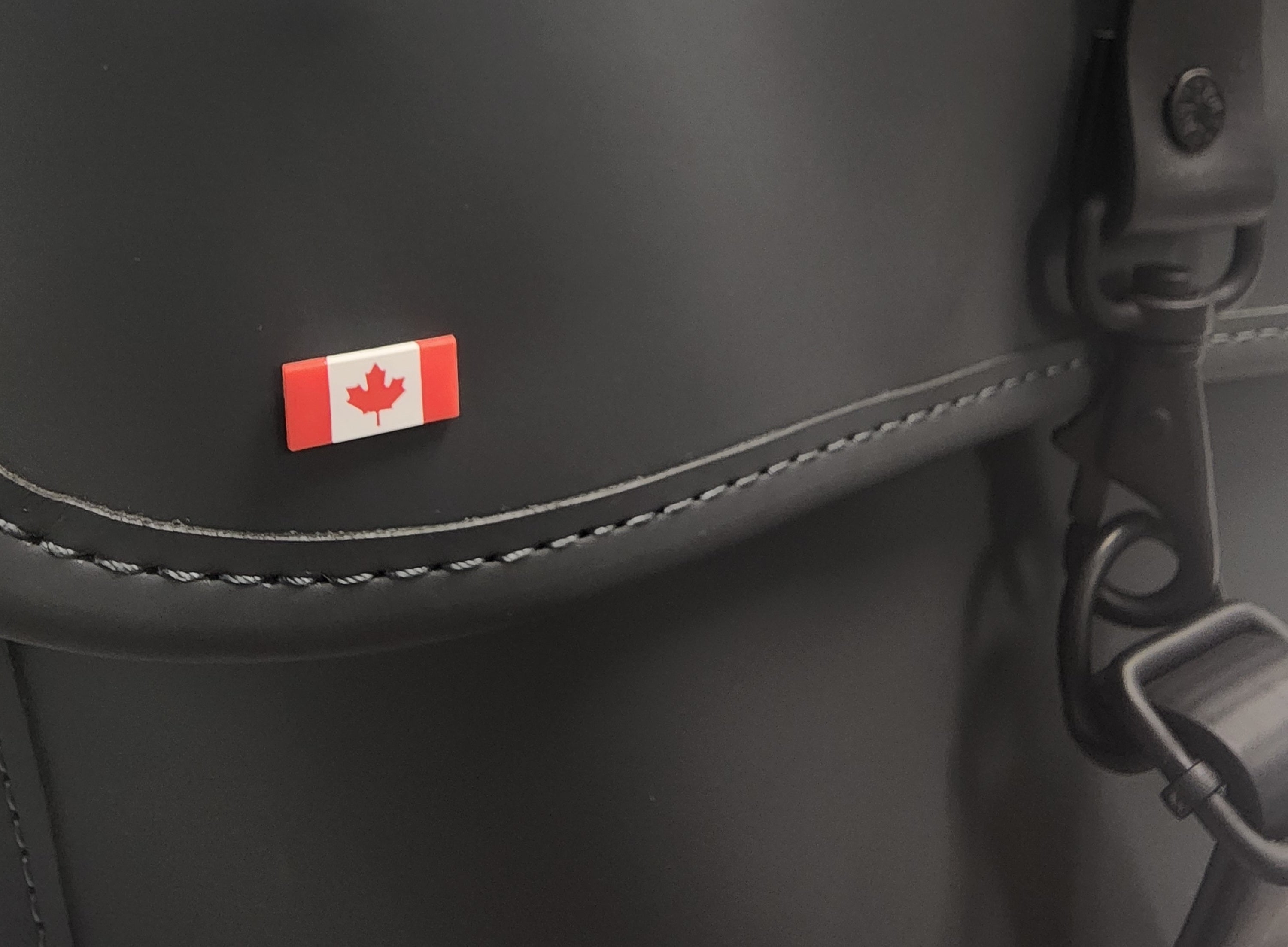Épinglette officielle du drapeau du gouvernement du Canada