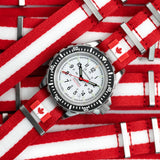 Épinglette officielle du drapeau du gouvernement du Canada image