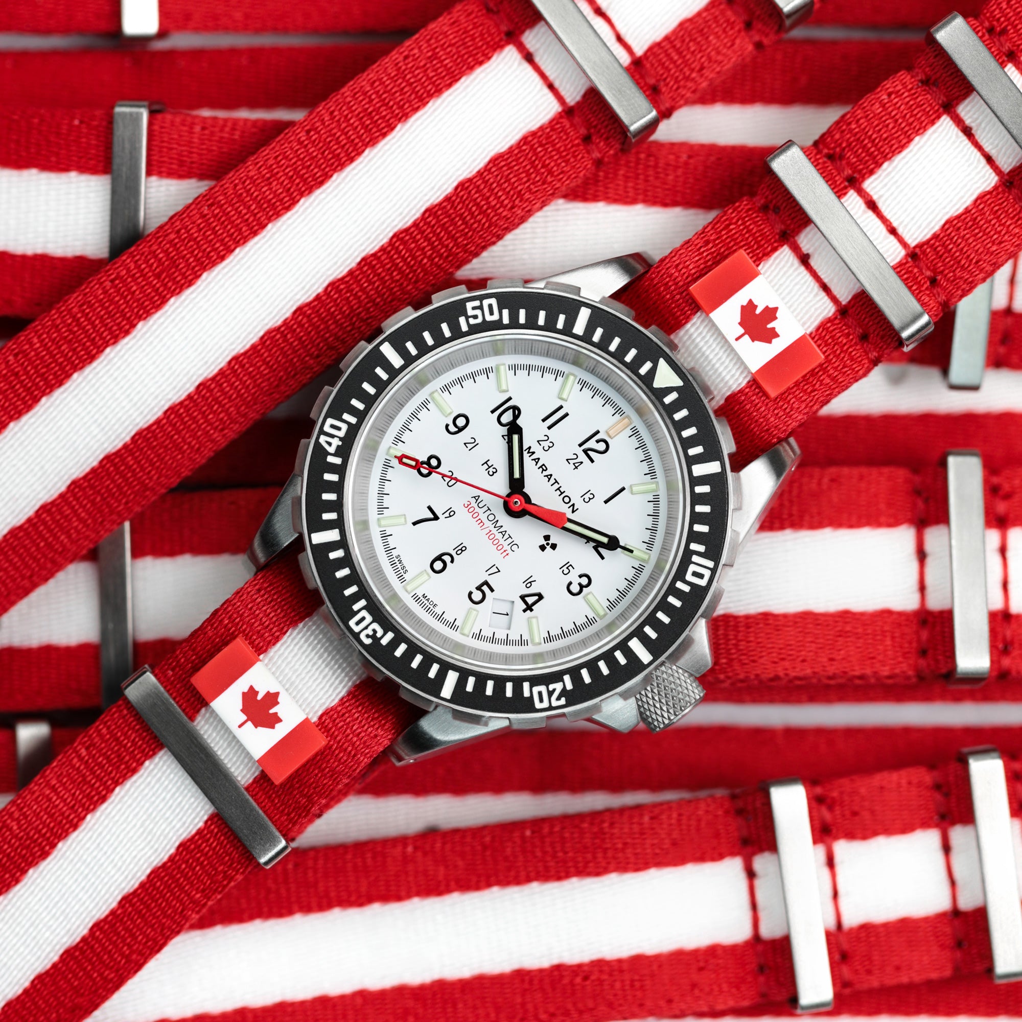Épinglette officielle du drapeau du gouvernement du Canada