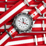 Épinglette officielle du drapeau du gouvernement du Canada